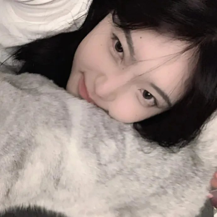 十二猴子第四季
